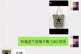 龙马潭要债公司收费标准揭秘：合理合法，透明公开